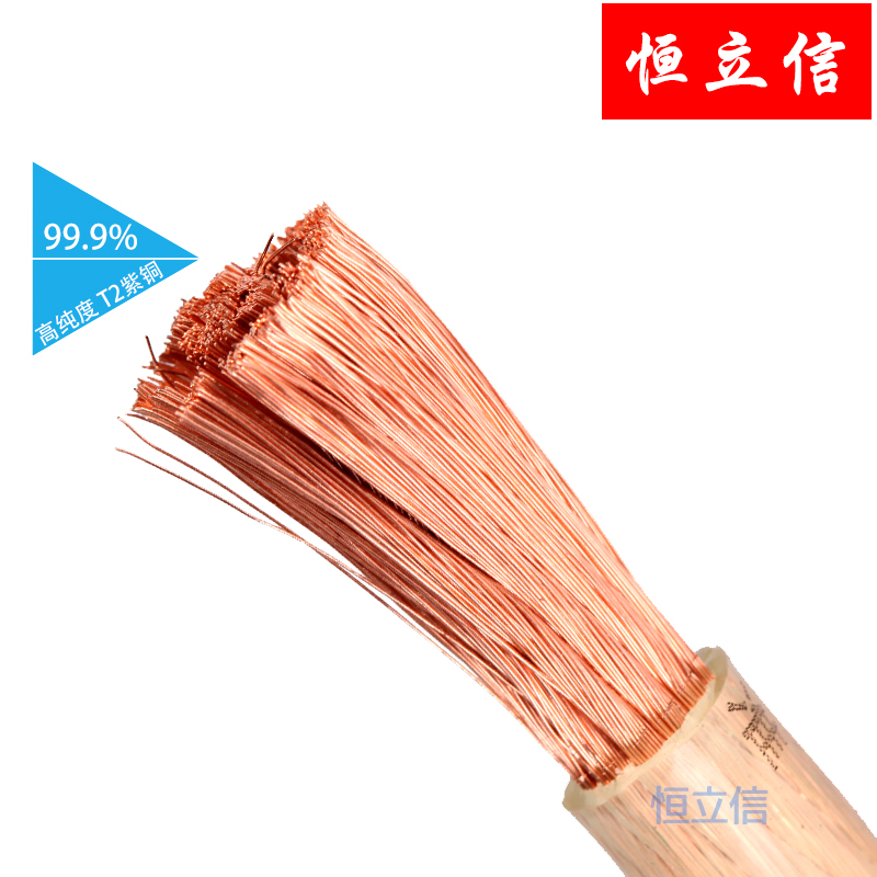 恒立信纯铜绝缘接地线 